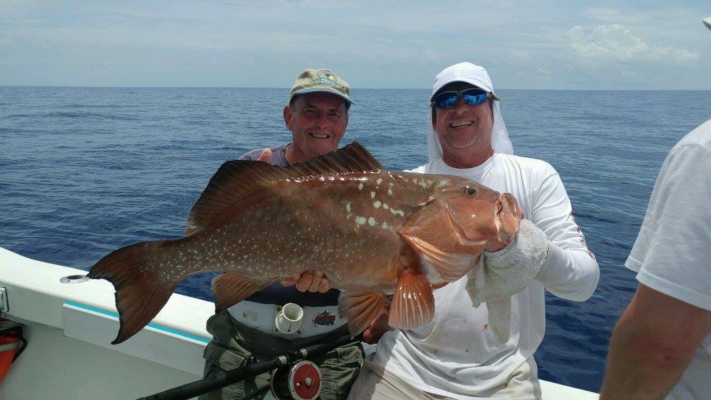 Biggest red grouper on offshore charter