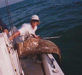 250 pound goliath grouper